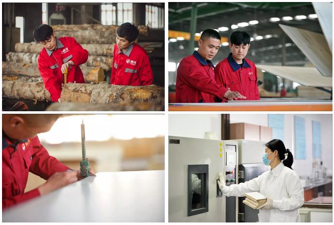 c7c7娱涝旖台官网入口(中国)官方网站