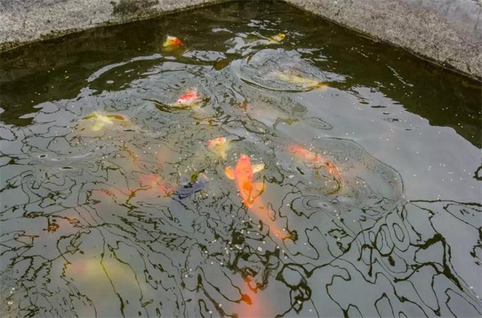 c7c7娱涝旖台官网入口(中国)官方网站