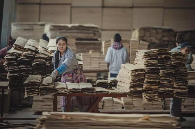 c7c7娱乐平台官网入口之造——c7c7娱乐平台官网入口22周年出格贡献品质篇