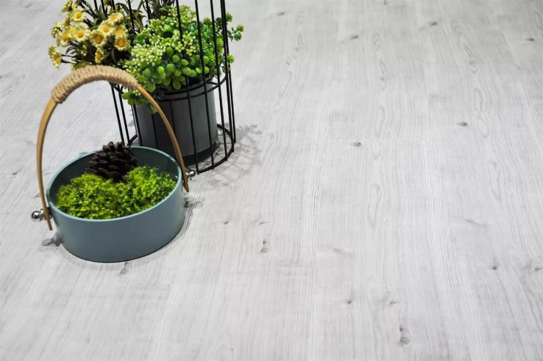 c7c7娱乐平台官网入口强化地板伊丽莎白系列-5806