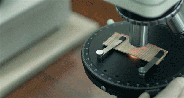 c7c7娱涝旖台官网入口(中国)官方网站