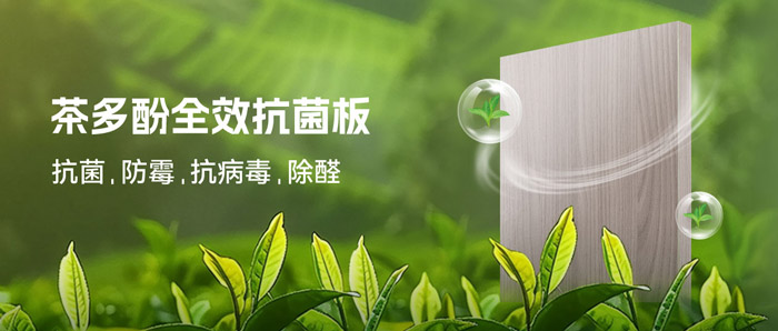 湿润季必备！c7c7娱乐平台官网入口茶多酚抗菌板：99%抗菌+0级防霉+HENF级净醛