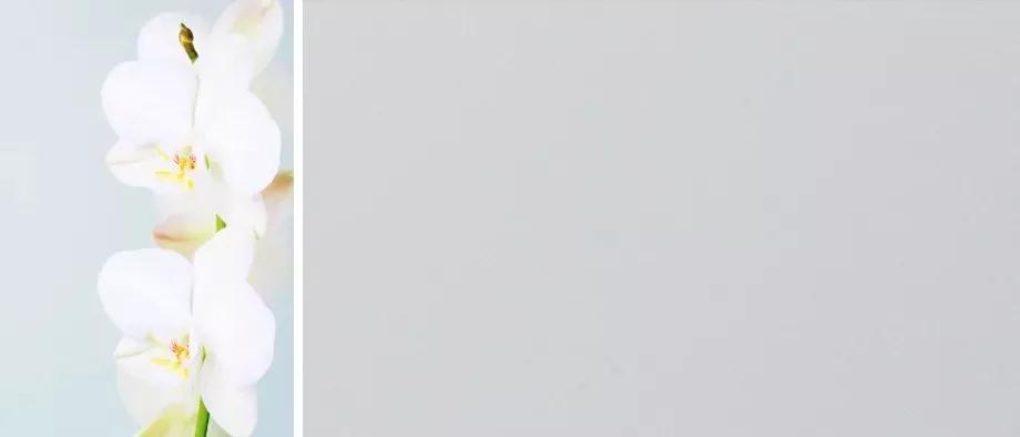 c7c7娱涝旖台官网入口(中国)官方网站