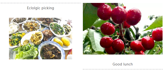 c7c7娱涝旖台官网入口(中国)官方网站