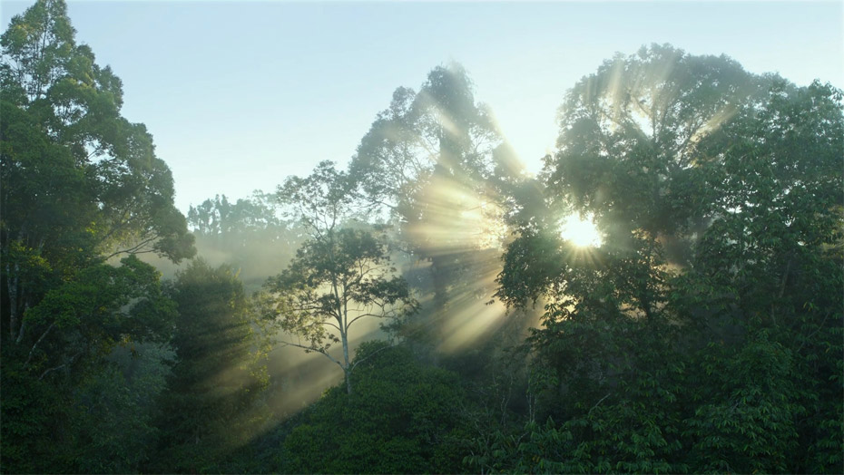 c7c7娱涝旖台官网入口(中国)官方网站