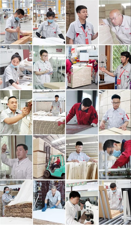 c7c7娱乐平台官网入口板材